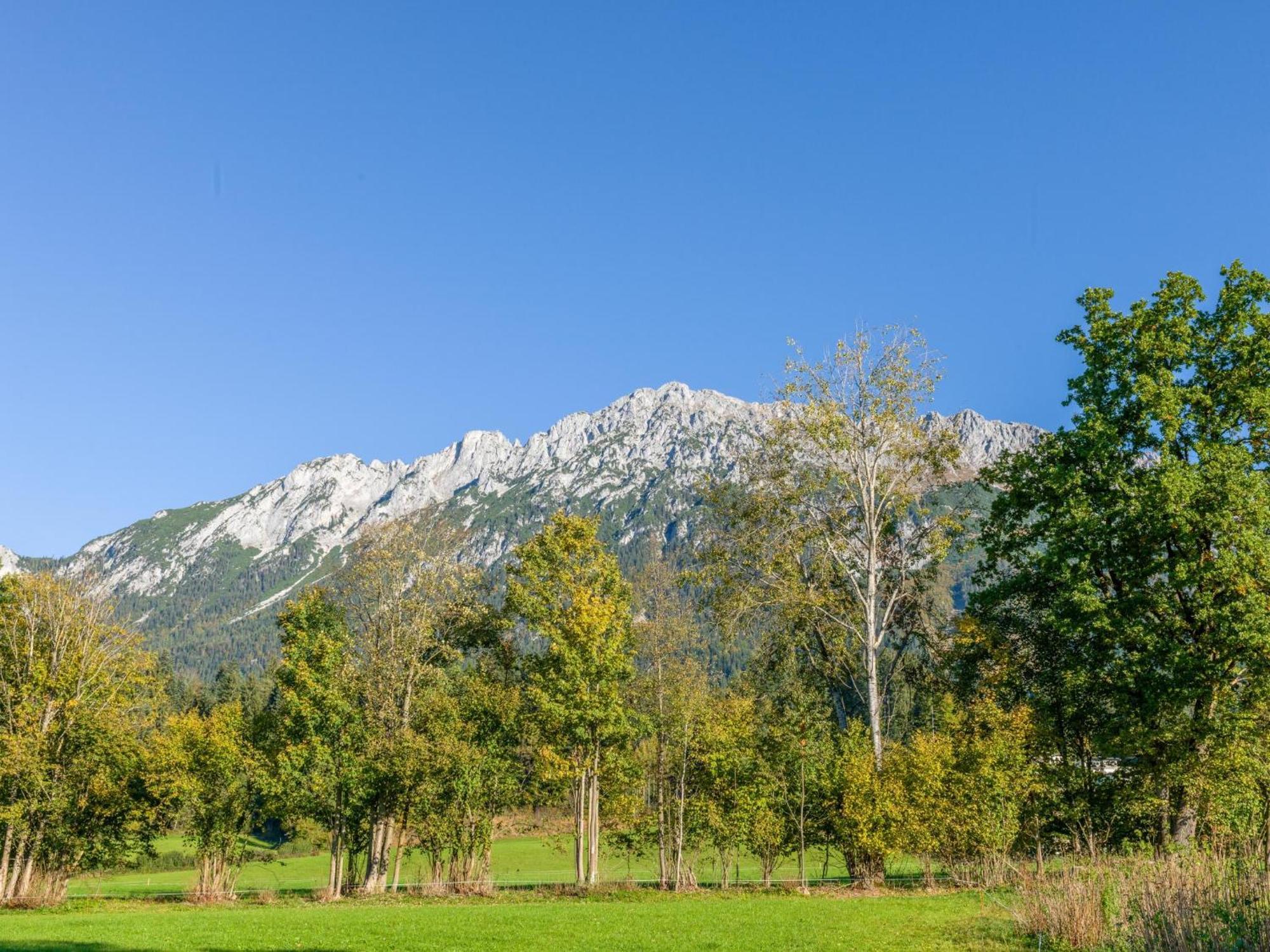 Pension Blaiken Xl Scheffau am Wilden Kaiser Zewnętrze zdjęcie